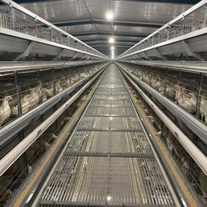 Giá tốt nhất thép tự động pin Lồng cho trứng-gà đẻ gà Coop của một loại cho gia cầm trang trại & Chim sử dụng - Product Image 3