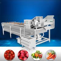 Industriële, volautomatische fruit- en groentewasmachine, droger en reiniger met aanpasbare motor, commerciële wasmachine van SUS304