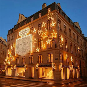 Lanterne de Lotus de passage en soie chinoise personnalisable lampe de plante de Simulation décorative extérieure étanche artisanat artisanal - Product Image 5