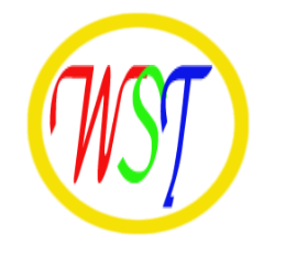 Jiangxi Weisite Clothing Co., Ltd. logo