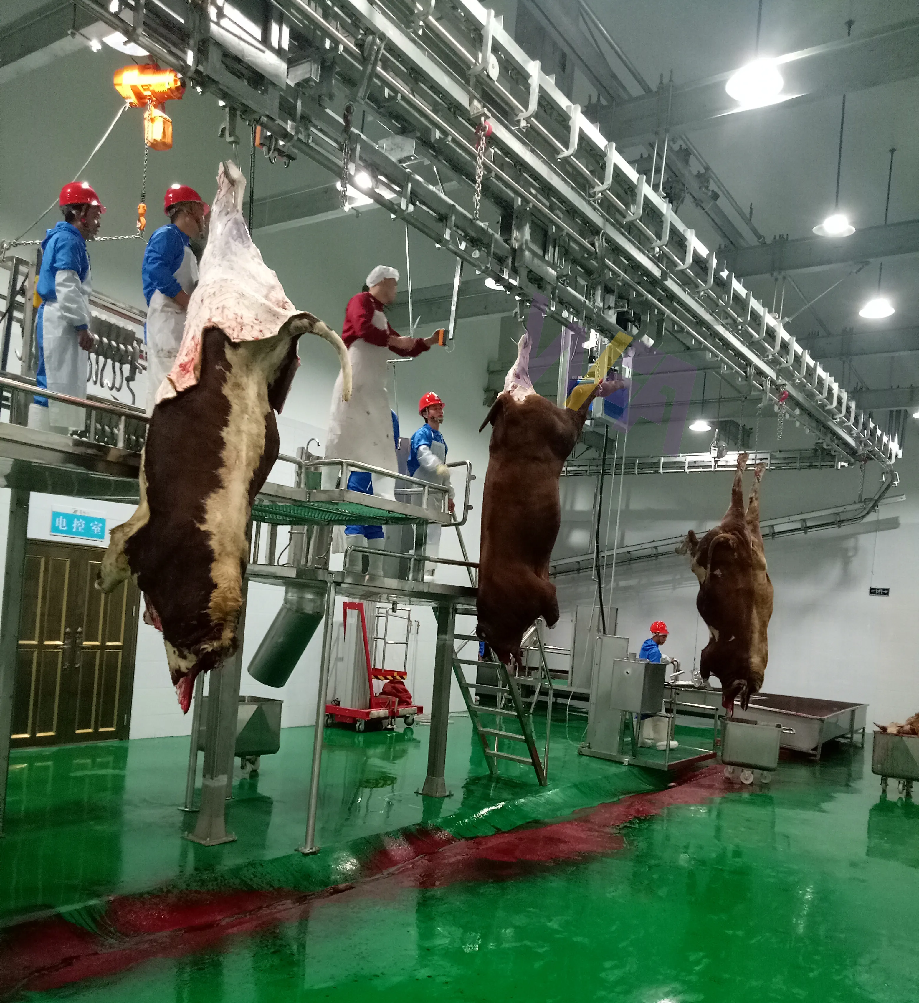 人道的な10牛の食肉処理場の食肉処理場の牛の食肉処理ライン