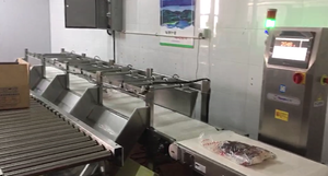เครื่องคัดแยกน้ำหนักอัตโนมัติ CW-220 แบบกำหนดเอง ความเร็วสูง ระบบดิจิทัล พร้อมเครื่องชั่งน้ำหนักและคัดแยกน้ำหนัก - Product Image 5