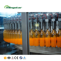 Machine de remplissage à chaud complète pour la fabrication de jus de fruit naturel ligne de production d'une usine de transformation presse-agrumes pomme orange mangue citron