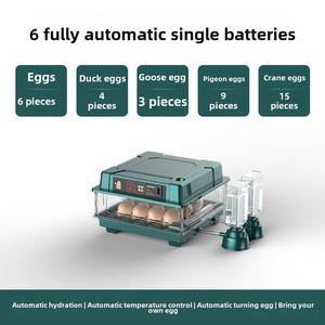 Hoàn toàn tự động thông minh Nhà trứng lồng ấp cho gà vịt ngỗng chim bồ câu emus PP mới xuyên biên giới cung cấp nước tự động cung cấp - Product Image 6