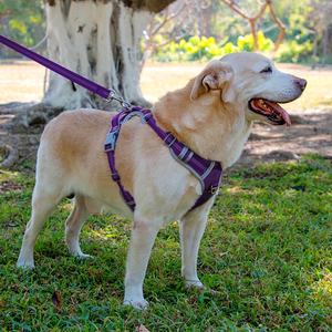 Fabricante al por mayor ajustable reflectante Oxford malla acolchada sin tirones arnés para mascotas para perros pequeños medianos grandes - Product Image 2
