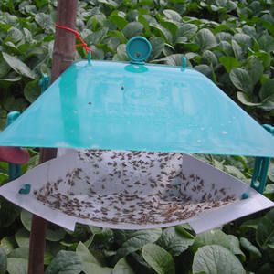 Pheromone sexuelle efficace contre les insectes Plutella Xylostella, liquide d'appât pour le contrôle des mites du diamant, pesticide écologique pour les légumes - Product Image 2