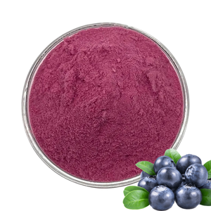 Polvo de Arándanos Orgánicos Liofilizado al por Mayor, Concentrado 100% de Jugo de Arándanos en Polvo - Product Image 1