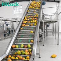 Mango verwerkingslijn 2026, productiefaciliteit voor mangopuree, machine voor het extraheren van fruitpulp voor de verwerking van mangosap en -puree