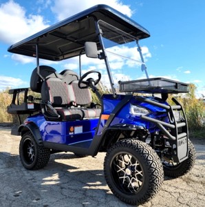 Carrito de golf con 6 asientos <span class=keywords><strong>Buggy</strong></span> eléctrico <span class=keywords><strong>buggy</strong></span> para adultos - Product Image 1