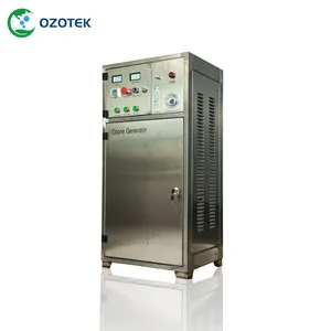 Machine d'ozone de style intégré OZOTEK 60 G/H 100-145 mg/L Concentrateur d'oxygène PSA intégré Purification de l'eau utilisée