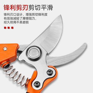 Lu Ban's Work Pruning Shears Stainless Steel 10-20 Mm Bypass For Fruit Trees - Product Image 4