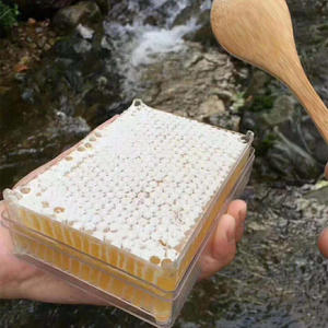 รวงผึ้งแท้ 100% จา<span class=keywords><strong>ก</strong></span>ธรรมชาติ คุณภาพสูง น้ำหนั<span class=keywords><strong>ก</strong></span> 500 <span class=keywords><strong>ก</strong></span>รัม บรรจุในกล่องใส - Product Image 5