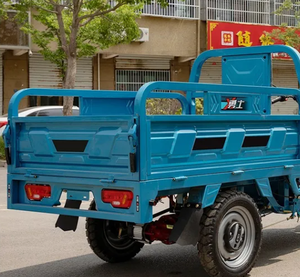 Tricycle à trois roues 1000W à prix abordable avec boîte de vitesses Beilande à 3 rapports pour un changement de vitesse fluide et polyvalent - Product Image 6