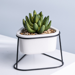 Maceta de dolomita blanca con soporte de Metal y plantas suculentas para macetas - Product Image 3