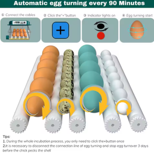 Incubadora de Aves de Corral, Apta para Pollos, Patos, Gansos y Codornices, Totalmente Automática, Ideal para Granjas Familiares y Uso Comercial - Product Image 5