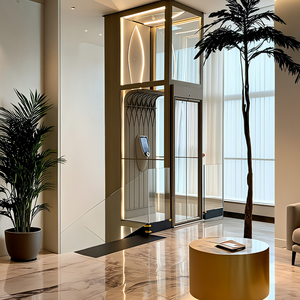 2 kat 2-kişi küçük hidrolik asansör tek Storyelavator ev asansör kapalı küçük asansörler için satış - Product Image 3