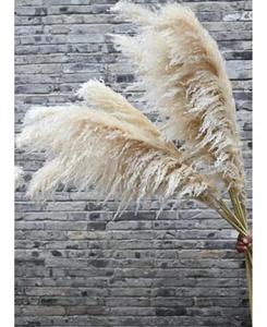 Flores secas de hierba Pampa hechas a mano en pelo gris caña Grande y Pequeña para decoraciones de boda nórdicas al por mayor - Product Image 4