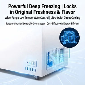 <span class=keywords><strong>Freezer</strong></span> Komersial Tahan Lama Berkualitas Tinggi untuk Penyimpanan Makanan dalam Jumlah Besar dan Pasokan Grosir Pasar - Product Image 5