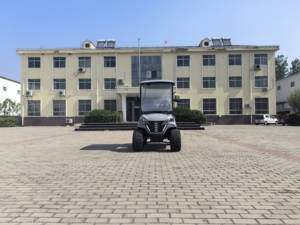 Mini Elektrische Auto 2024 G Wagon Golfauto Kleine Elektrische Auto - Product Image 5