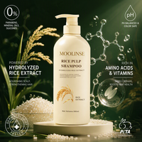 Supports personnalisés OEM ODM RTS – Shampoing et après-shampoing à la pulpe de riz 500 ml – Gel anti-démangeaisons et contrôle du sébum – Kit de soins capillaires pour adultes