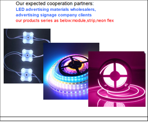 13 años de producción y fabricación con gran estabilidad, adecuados para cajas de luz publicitarias para exteriores - Módulos LED - Product Image 3