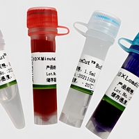 Minute Cut Fast Digest Ssp I. Expériences de biologie moléculaire. ADN plasmidique, produits de PCR ou ADN génomique. Génétiquement recombinant.