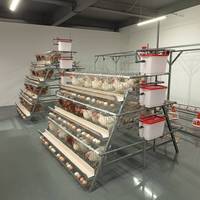 Système de cages en batterie de type A robustes pour poulets pondeurs, pour l'élevage commercial de poulets pondeurs et la production d'œufs en ferme