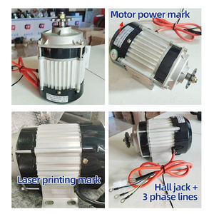 삼륜차 전환 전기차 브러시리스 <span class=keywords><strong>DC</strong></span> 모터 컨트롤러 550W 48V 영구 자석 구리 기어 모터 IP65 공장 - Product Image 4