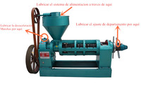 Ligne de production d'huile d'extraction par pression YZYX120-8 270 kg/h pour tournesol et germe de maïs à vendre