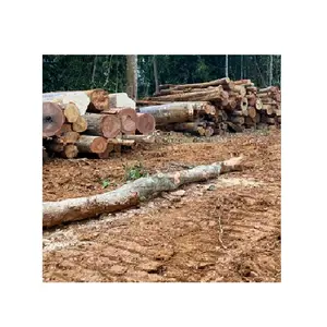 Bester Preis Merbau Log Holz Holz Natural Red Wood Farbe Typ Protokolle Anzug für Gebäude/Möbel Protokolle