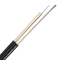 Câble Plat à Fibre Optique SURELINK 2, 4 ou 12 Cœurs FTTH, Monomode Aérien G652D GYFXTBY Certifié CE
