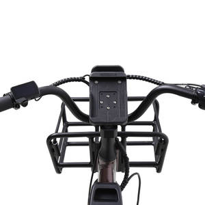 Vélo électrique cargo TXED 20 pouces en aluminium, moteur brushless 250W, batterie 36V 14.7Ah, frein hydraulique, vélo électrique de fret - Product Image 3