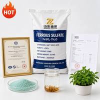 Sulfato Ferroso Heptahidratado FeSO4 7H2O 98% Producto Químico para Tratamiento de Agua