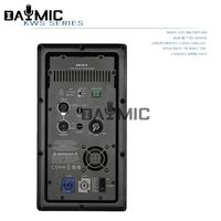 Module d'amplificateur de puissance actif de classe D 1000W pour haut-parleur de 18 pouces
