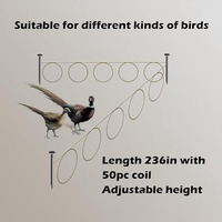 Piège à oiseaux en acier inoxydable avec cage et filet de capture pour attraper des oiseaux vivants