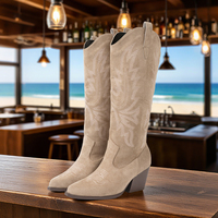 Bottes Western Rétro en Daim Brodé à Bout Pointu, Doublure en Maille, Confortables, à Talon Carré et Montantes pour Femme