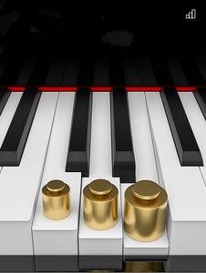 Piano numérique en gros avec touches lestées pour une performance professionnelle - Product Image 4