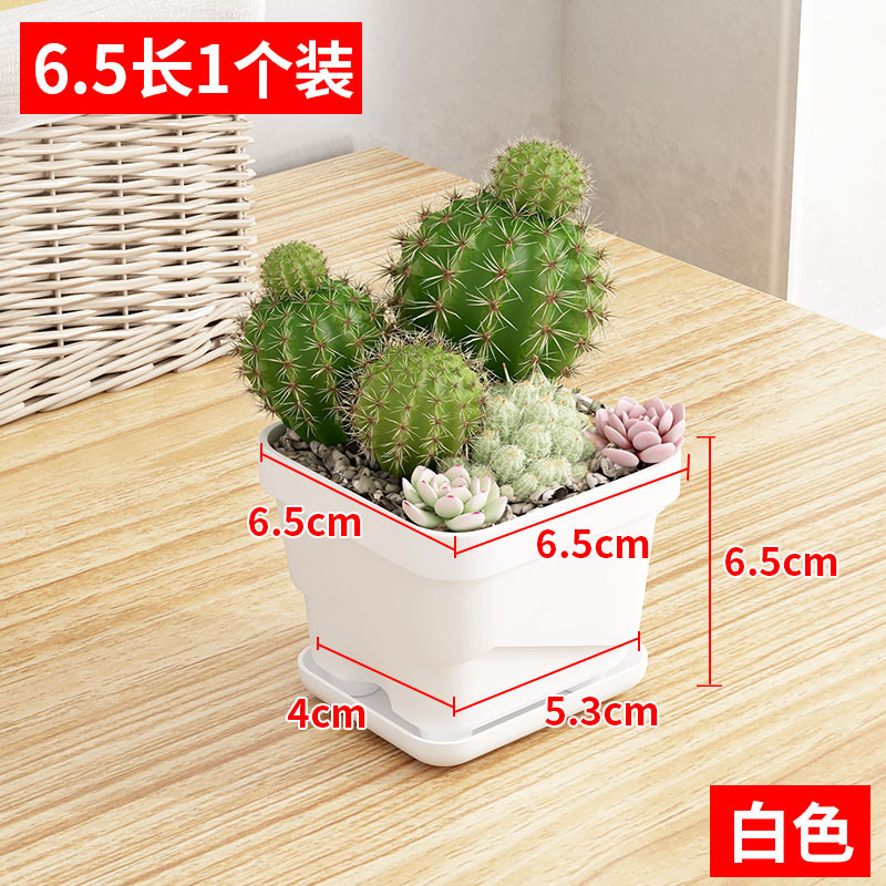 สไตล์ F, สีขาว, ช่องเปิดทรงสี่เหลี่ยม, ขนาด 6.5 ซม., พร้อมฐาน [1 ชิ้น]