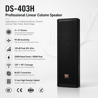 Enceinte de Scène Murale Professionnelle DSZ DS-403H 800W pour Extérieur, Double Haut-Parleur 15 Pouces, 8 Ohms, 70Hz-20kHz