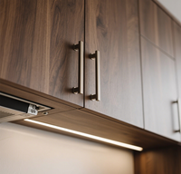 Ensemble de cuisine modulaire en bois brun foncé avec four intégré et éclairage sous l'armoire SANTOPOVA