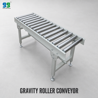 Convoyeur à rouleaux d'accumulation électrique GOLDGUN pour la manutention de palettes, avec hauteur réglable pour la distribution logistique