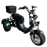 Scooter Eléctrico de Dos Ruedas sin Escobillas de 2000 W, 10 Pulgadas, Batería de Litio de 20 Ah/40 Ah, Plegable, Impermeable, para Uso Urbano para Adultos
