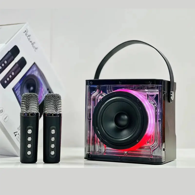 Petit mini haut-parleur extérieur de karaoké de bruit de Bluetooth avec les microphones sans fil de 2PCS