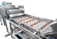 Ligne de traitement clé en main pour fruits et légumes : lavage, séchage à l'air, inspection lumineuse, ligne de production complète personnalisée