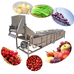 Bubble cleaning line Fruit Washer and Vegetable Cleaning Machine mango juice apple juice process line