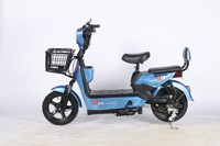 Vélo électrique biplace pour adultes, produit en usine, vente en gros directe, cellule lithium-ion écologique, coque en alliage léger