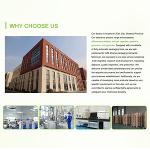 US Warehouse Supply Oleuropein 20% Olive Leaf Extract <strong>Powder</strong> by HPLC - Product Image 2