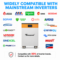 Batterie LiFePO4 Grade A 16kWh 51.2V 314Ah pour système de stockage d'énergie hors réseau avec équilibrage actif, extincteur inclus, livraison DDP UE Pologne (entrepôt)