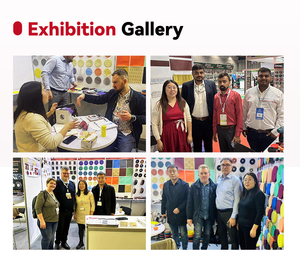 5 Inch 125mm 40 to 2000 Grits Hook and Loop Film Green Sandpaper Sanding Disc PET <strong>Sand</strong> Paper Green Sanding Disc Abrasives Disc - Product Image 6