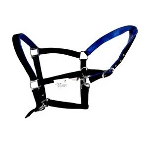 Harnais de cheval en nylon noir et bleu réglable avec boucles métalliques et anneaux en D pour usage équestre - Product Image 1
